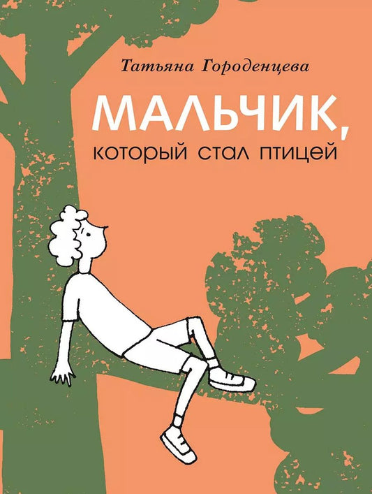 Обложка книги "Мальчик, который стал птицей"