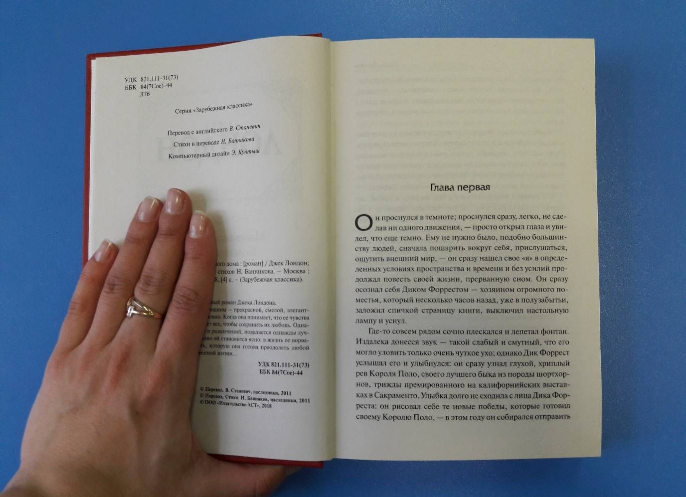 Фотография книги "Маленькая хозяйка Большого дома"