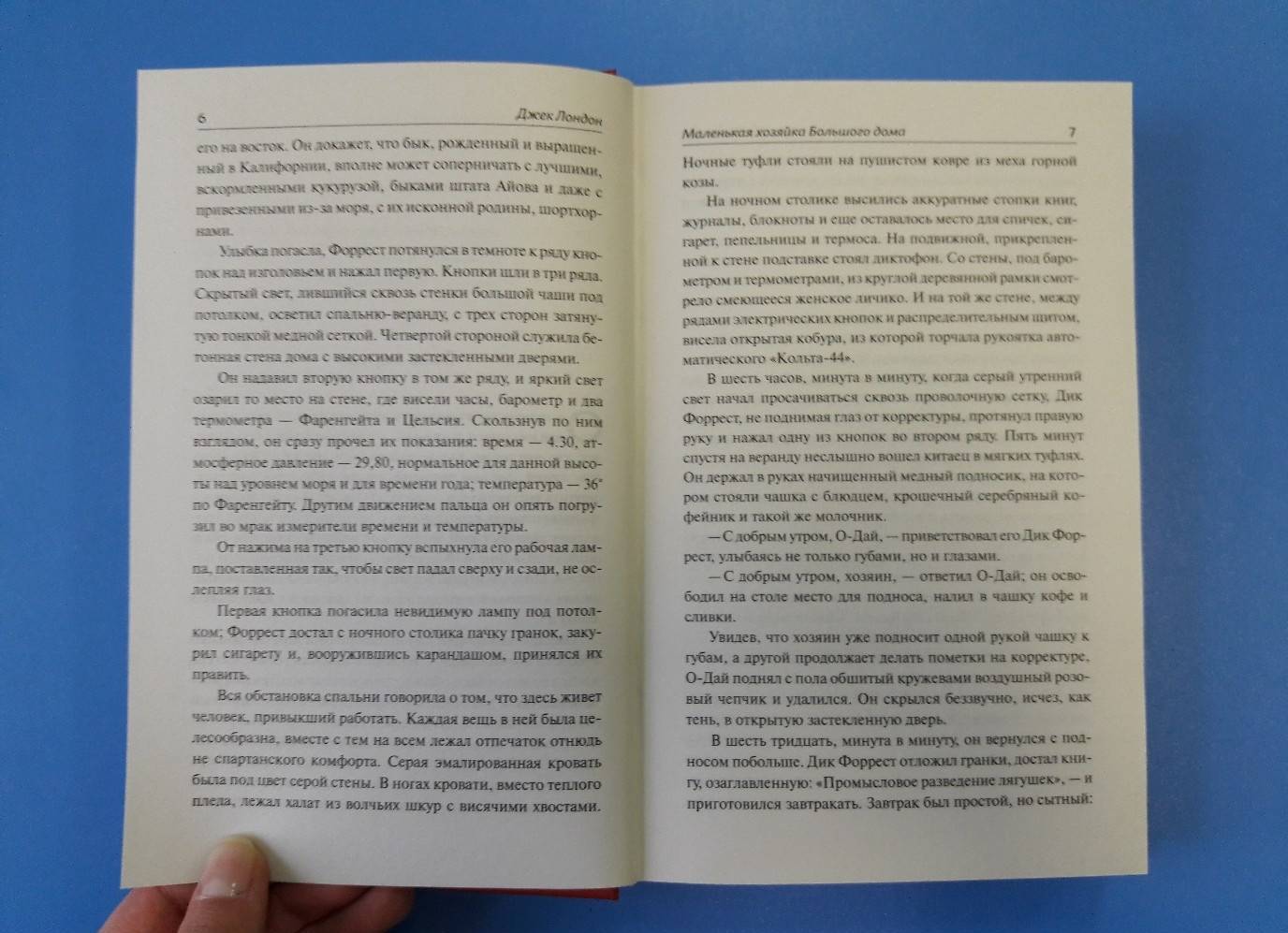 Фотография книги "Маленькая хозяйка Большого дома"