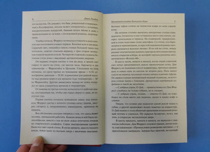Фотография книги "Маленькая хозяйка Большого дома"