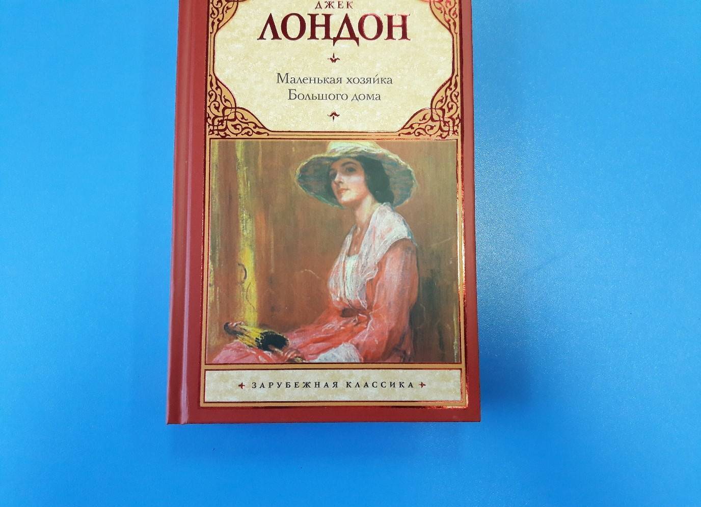 Фотография книги "Маленькая хозяйка Большого дома"