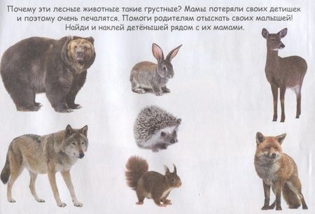 Фотография книги "Маленькие зверята"