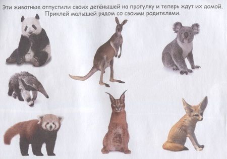Фотография книги "Маленькие зверята"