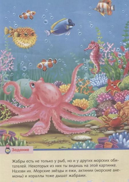Фотография книги "Малышам о море"
