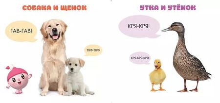 Фотография книги "Малышарики. Курс раннего развития 1+. Кто как маму зовёт?"