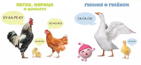 Фотография книги "Малышарики. Курс раннего развития 1+. Кто как маму зовёт?"