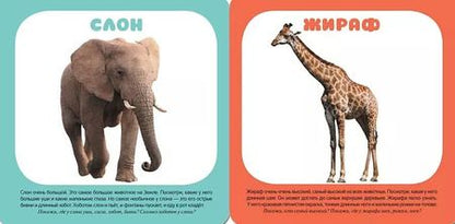 Фотография книги "Малышарики. Курс раннего развития 1+. Животные зоопарка"