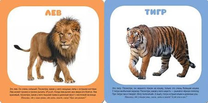 Фотография книги "Малышарики. Курс раннего развития 1+. Животные зоопарка"