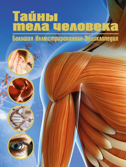 Обложка книги "Малиция, Сориано, Фернандес: Тайны тела человека. Большая иллюстрированная энциклопедия"
