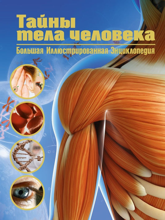 Обложка книги "Малиция, Сориано, Фернандес: Тайны тела человека. Большая иллюстрированная энциклопедия"