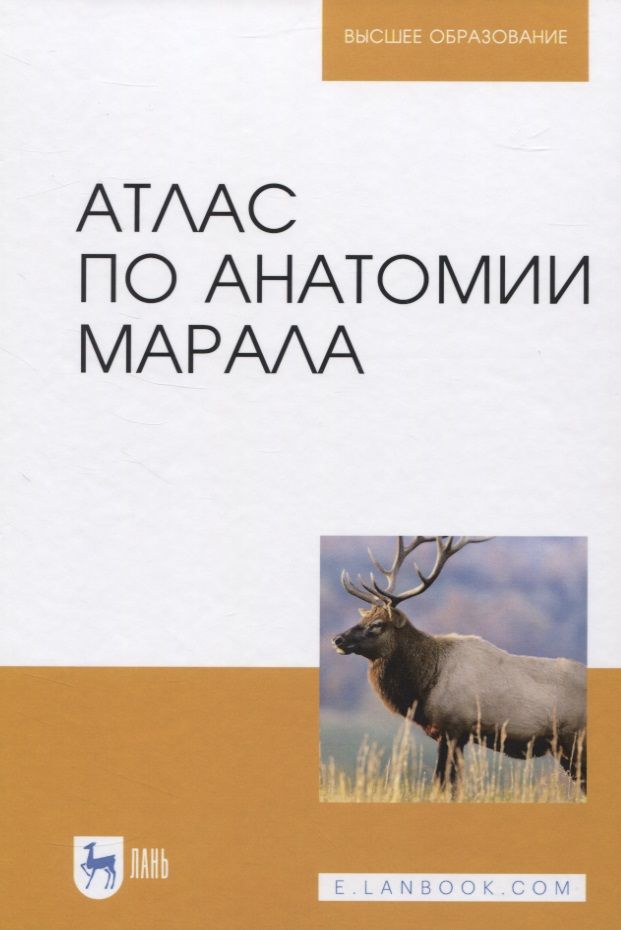 Обложка книги "Малофеев, Рядинская, Чебаков: Атлас по анатомии марала. Учебное пособие"