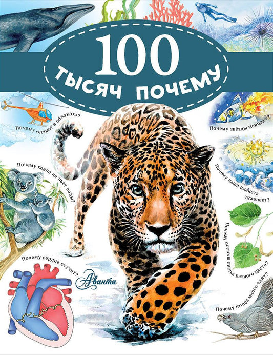 Обложка книги "Малов, Альтшулер: 100 тысяч почему"