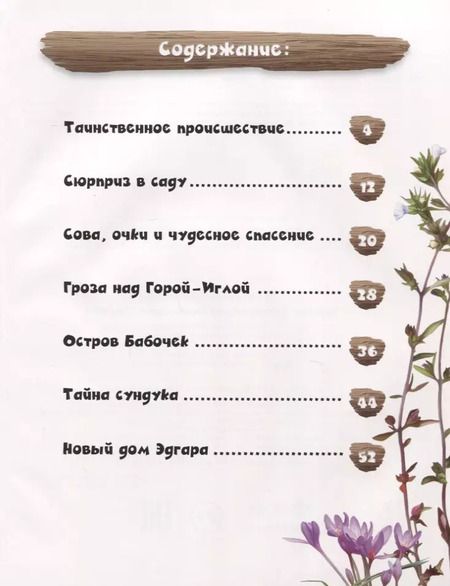 Фотография книги "Мальвина Миклош: Тайное сокровище мышонка Эдгара"