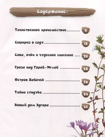 Фотография книги "Мальвина Миклош: Тайное сокровище мышонка Эдгара"