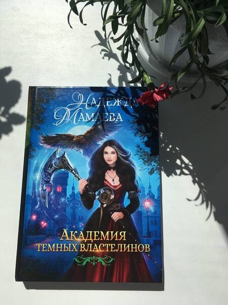 Фотография книги "Мамаева: Академия темных властелинов"
