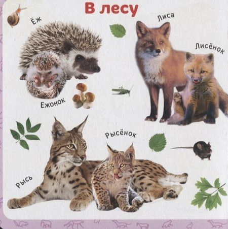 Фотография книги "Мамы и детки"