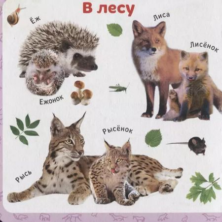 Фотография книги "Мамы и детки"