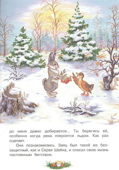 Фотография книги "Мамин-Сибиряк ДмитрийСерая Шейка"