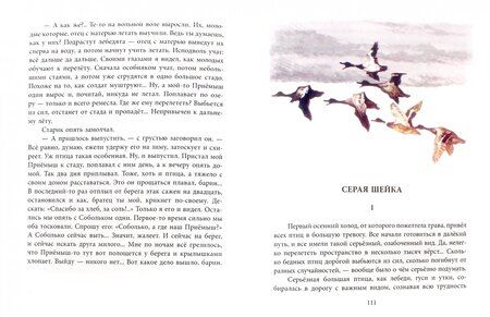 Фотография книги "Мамин-Сибиряк: Рассказы и сказки"