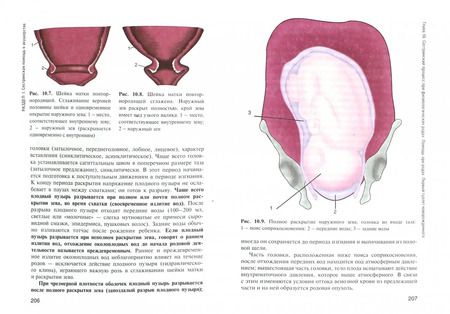 Фотография книги "Манана Дзигуа: Сестринская помощь в акушерстве и при патологии репродуктивной системы у женщин и мужчин"