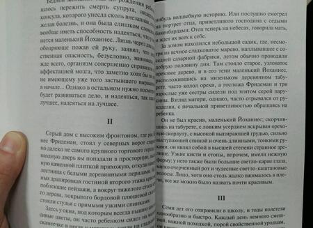 Фотография книги "Манн: Смерть в Венеции"