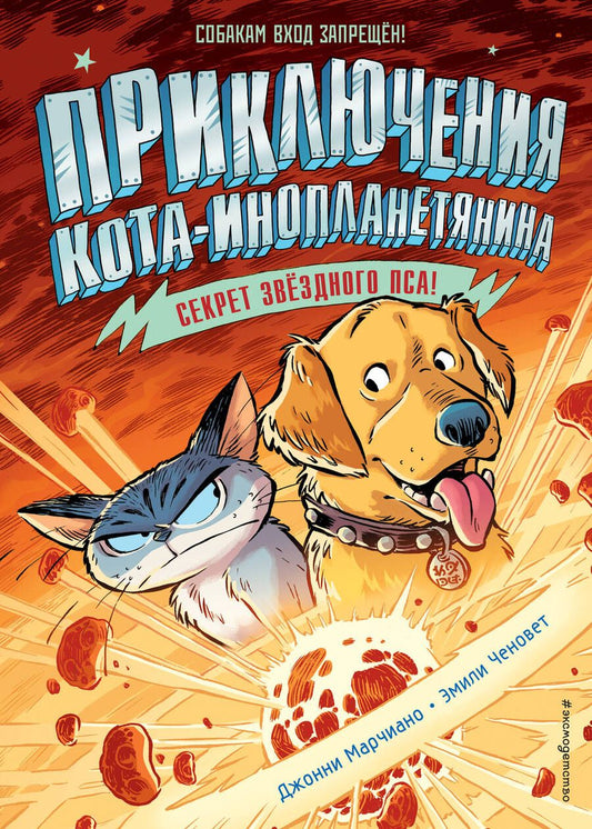 Обложка книги "Марчиано: Секрет звездного пса"