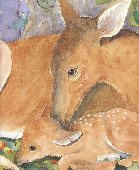 Фотография книги "Маргалит Фокс: Пора спать"