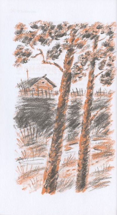 Фотография книги "Маргарита Латышкевич: Лисиный перстенек. Повесть-сказка"