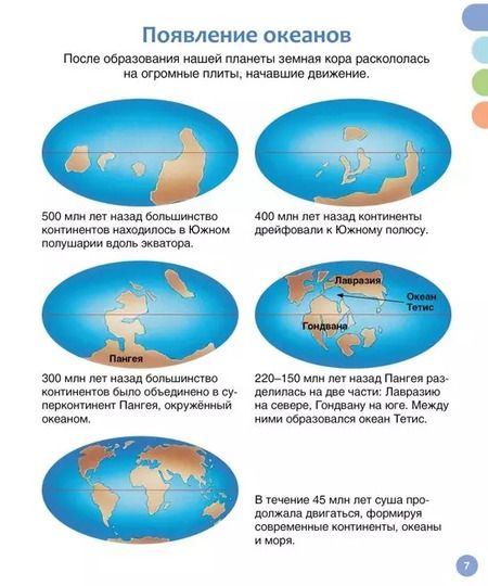 Фотография книги "Мари-Рене Гийоре: Море и его обитатели"