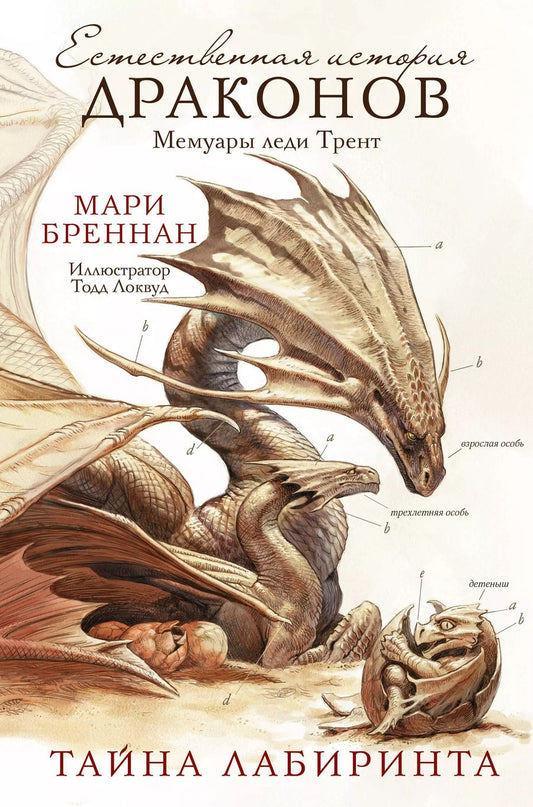 Обложка книги "Мари Бреннан: Тайна Лабиринта"