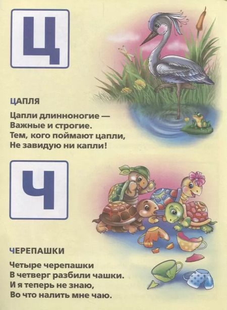 Фотография книги "Марина Дружинина: Азбука Животных. Мульткнижка."