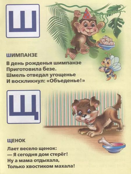 Фотография книги "Марина Дружинина: Азбука Животных. Мульткнижка."