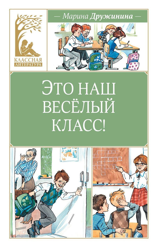 Обложка книги "Марина Дружинина: Это наш весёлый класс!"