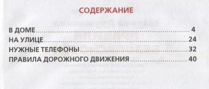 Фотография книги "Марина Дружинина: Правила безопасности."