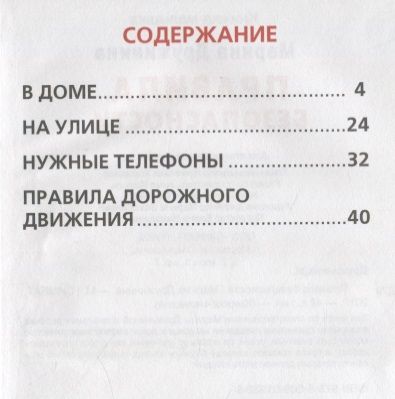 Фотография книги "Марина Дружинина: Правила безопасности."