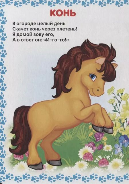 Фотография книги "Марина Дружинина: Стихи о животных"