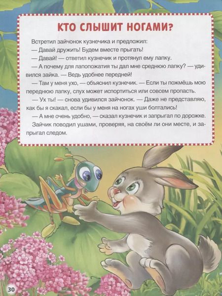 Фотография книги "Марина Дружинина: Животные"