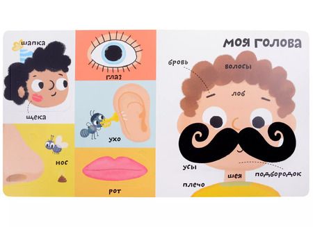 Фотография книги "Марина Гагарина: Мои первые 100 слов с большими окошками. Мое тело"