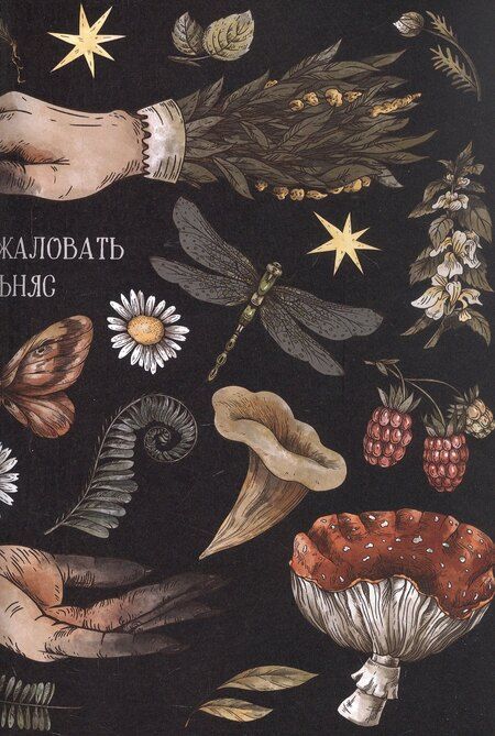 Фотография книги "Марина Комарова: Я у мамы зельевар. Держись, столица!"