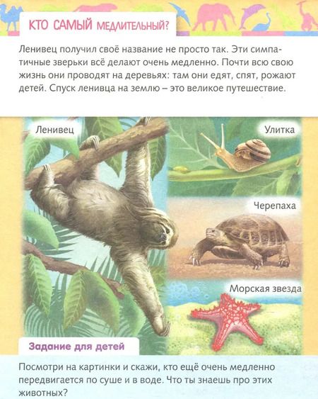 Фотография книги "Марина Султанова: От чего и почему? Кто самый - самый?"
