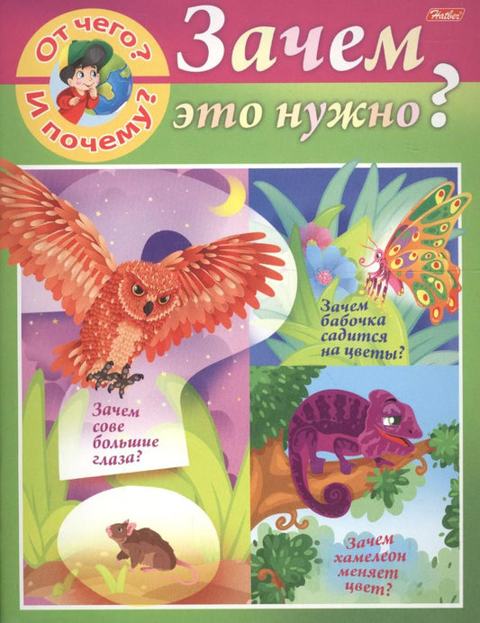Обложка книги "Марина Султанова: От чего и почему? Зачем это нужно?"