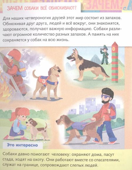 Фотография книги "Марина Султанова: От чего и почему? Зачем это нужно?"