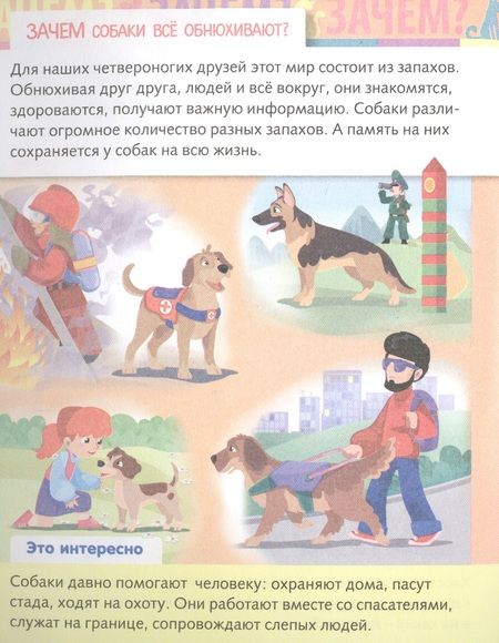 Фотография книги "Марина Султанова: От чего и почему? Зачем это нужно?"