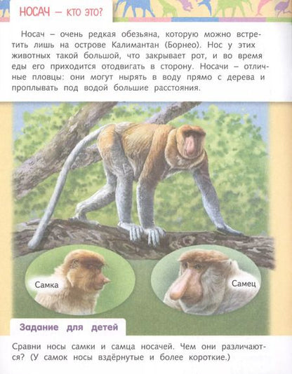 Фотография книги "Марина Султанова: Отчего и почему? Кто это? Удивительные жители нашей планеты"