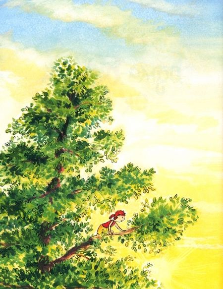 Фотография книги "Марина Тараненко: Бума-Бумай-Ок"