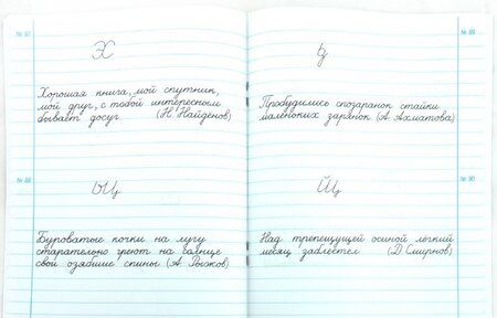 Фотография книги "Марина Яковлева: Тетрадь по чистописанию. 3 класс. ФГОС"