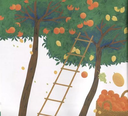 Фотография книги "Мария Гойхман: Три, два, один — лови апельсин!"