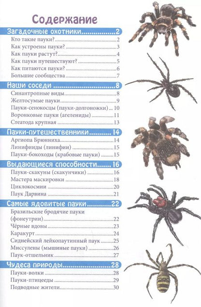 Фотография книги "Мария Куруськина: Пауки. Энциклопедия"