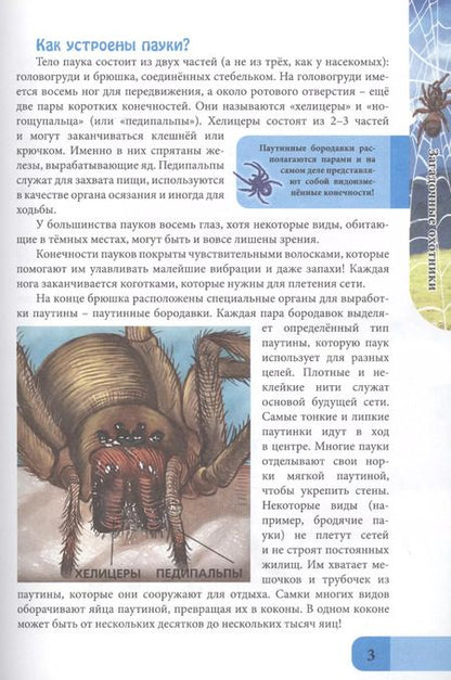 Фотография книги "Мария Куруськина: Пауки. Энциклопедия"