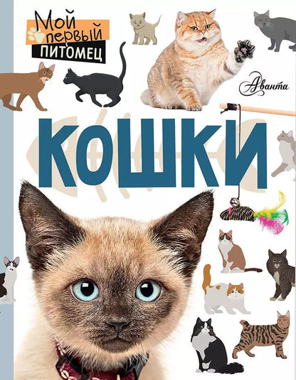 Обложка книги "Мария Лагоша: Кошки"